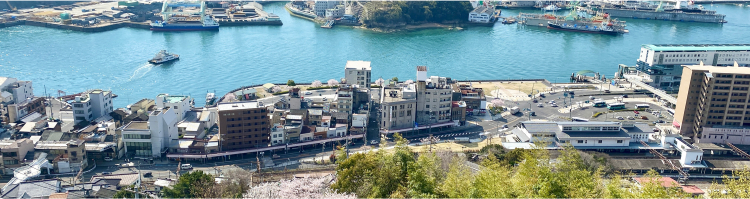 上空から撮影した海辺の風景